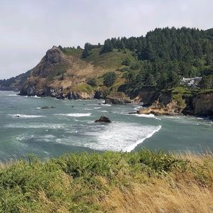 Meet your Posher, Carla